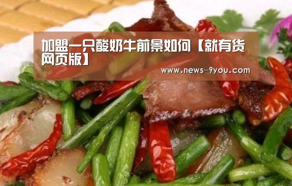 就有货网页版