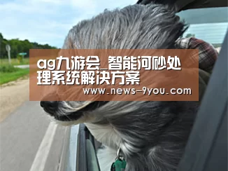 ag九游会_智能河砂处理系统解决方案(图1) 就有货网页版