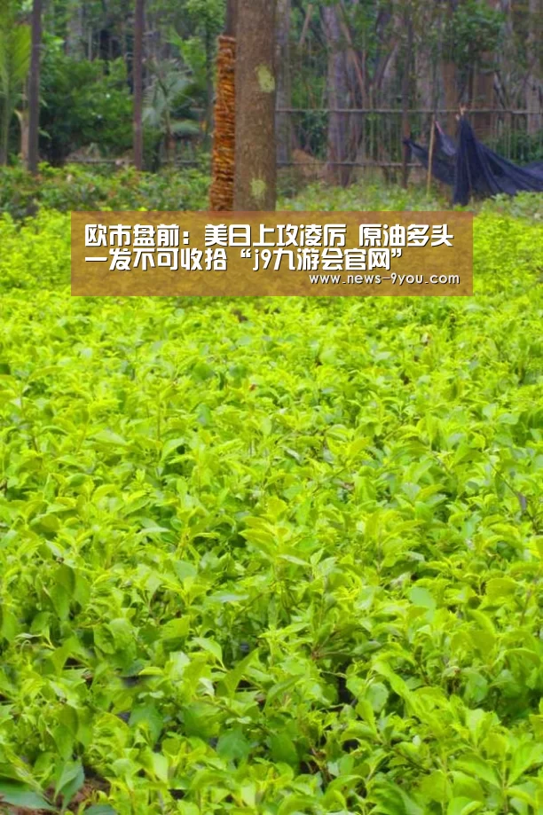 欧市盘前:美日上攻凌厉 原油多头一发不可收拾“j9九游会官网”(图1) ag九游会